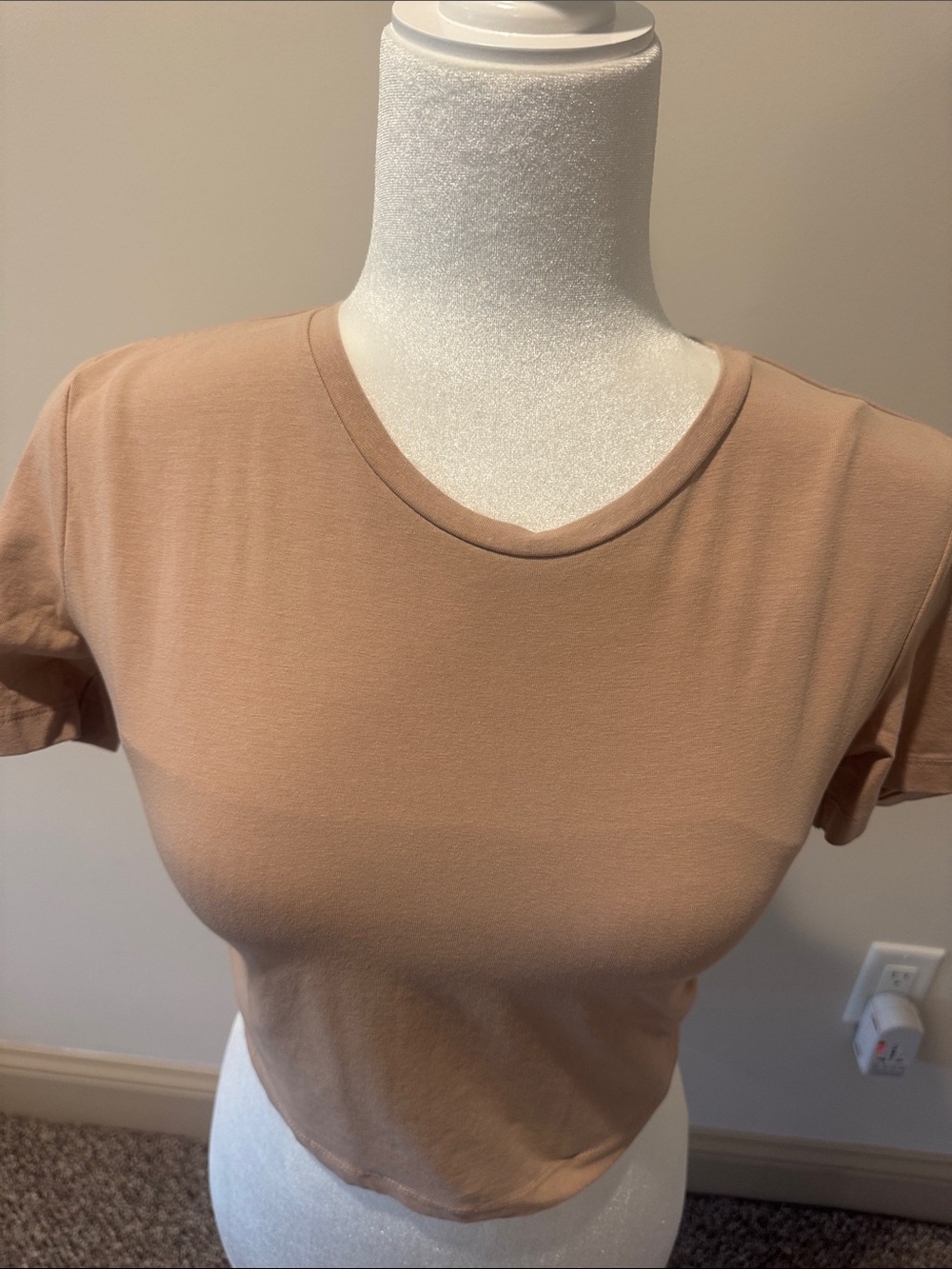 Zara Cropped Crewneck Tee in Camel Brown